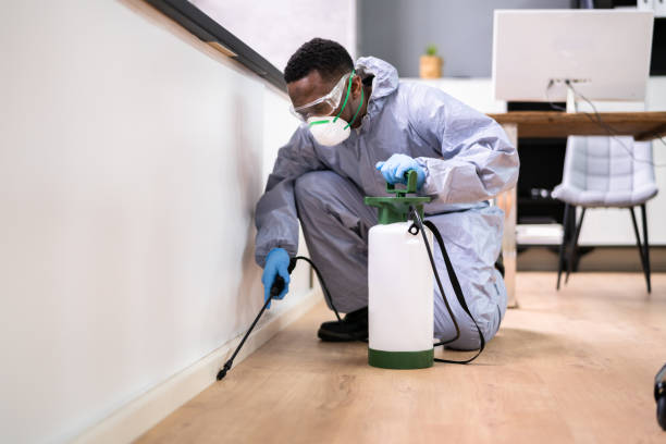 Professional Pest Control in Rio Pinar, FL